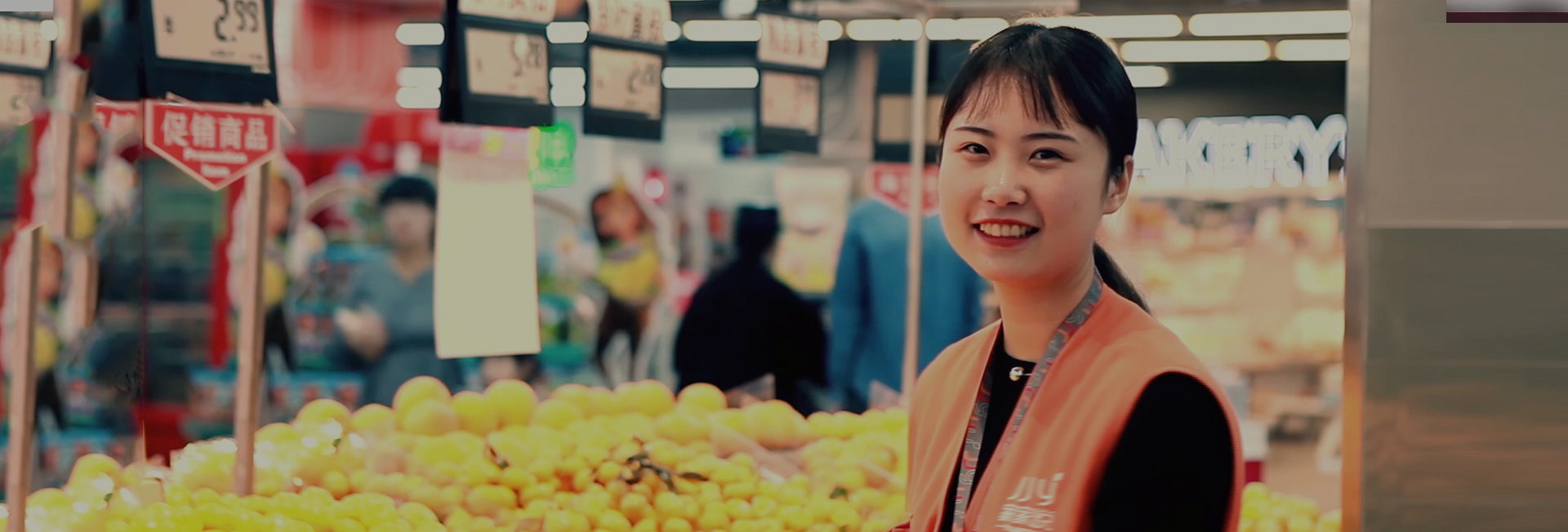 從<span>1995</span>到<span>2025</span>